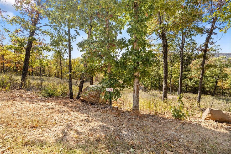 Welcome to Lot 74 (0.70 m/l ac) in Round Mountain Estates! This lot features rock out cropping's, views to the west, unique boulders and a rock wall that you can incorporate into your landscaping or home build! RME is a new, master planned, exclusive subdivision located 10 minutes west of Harrison, AR. The following utilities are already on site making the building process much easier for you; natural gas, fiber optic internet, electric, public water, and sewer. Interested in your family seeing the star lights instead of those city lights? RME is what you've been searching for! RME features a 350 +/- acre common area for its residents that includes a stocked fishing pond, Kissing Rock trail, natural springs to explore, Baby Canyon trail, incredible bluff lines to climb, and views for hundreds of miles that will not only take your breath away but will forever be etched in your memory! Neighborhood amenities coming soon.