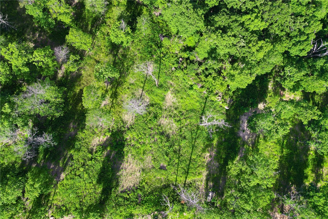 Round Mountain Estates - Land