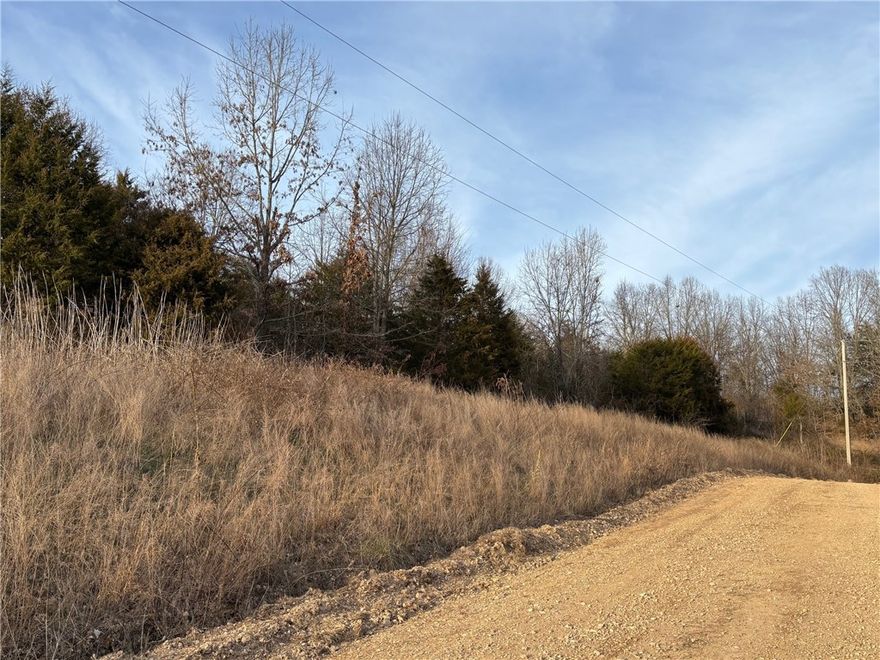 Great rural home site between Harrison and Bull Shoals Lake. Rural water and electric available. Mostly wooded, pretty area with rolling hills. Within minutes of many Ozark hiking, camping, fishing, hunting, swimming, boating, canoeing, and sightseeing venues! Check it out!