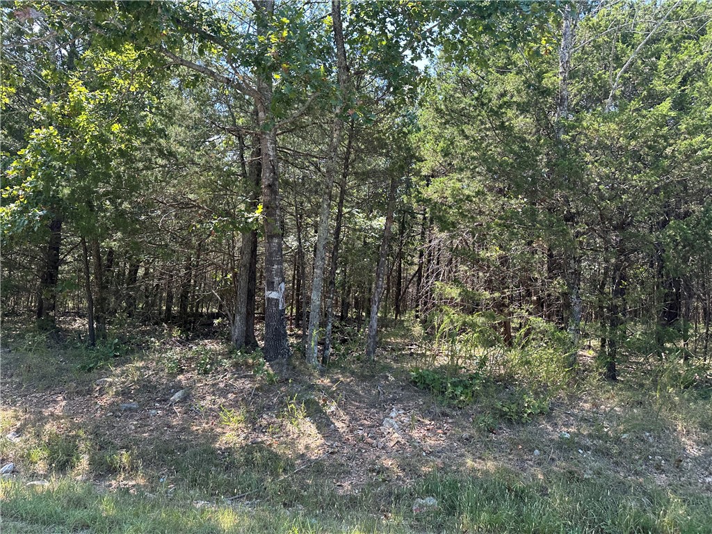 2.5 acre m/l tract in Peel, AR. This property offers easy access and convenient location, just minutes from Bull Shoals Lake and area amenities.Mostly wooded with plenty of room to build your home, cabin or weekend retreat. Great opportunity to own land in the heart of the Ozarks!