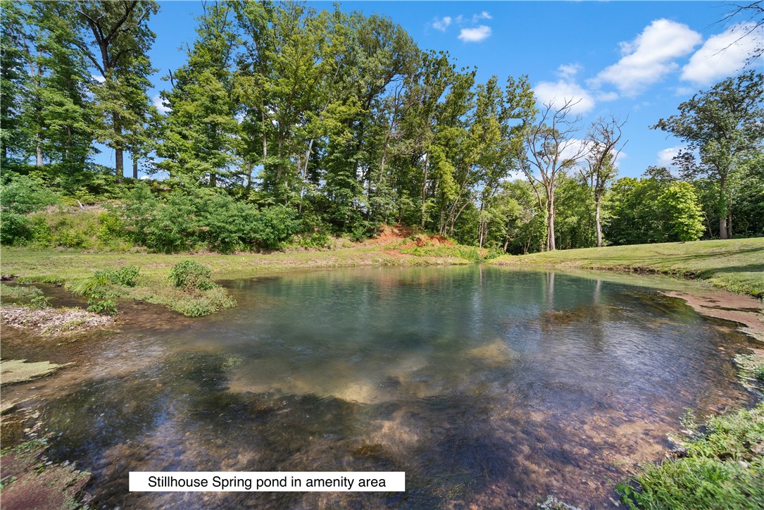 Healing Springs Phase 2 - Land