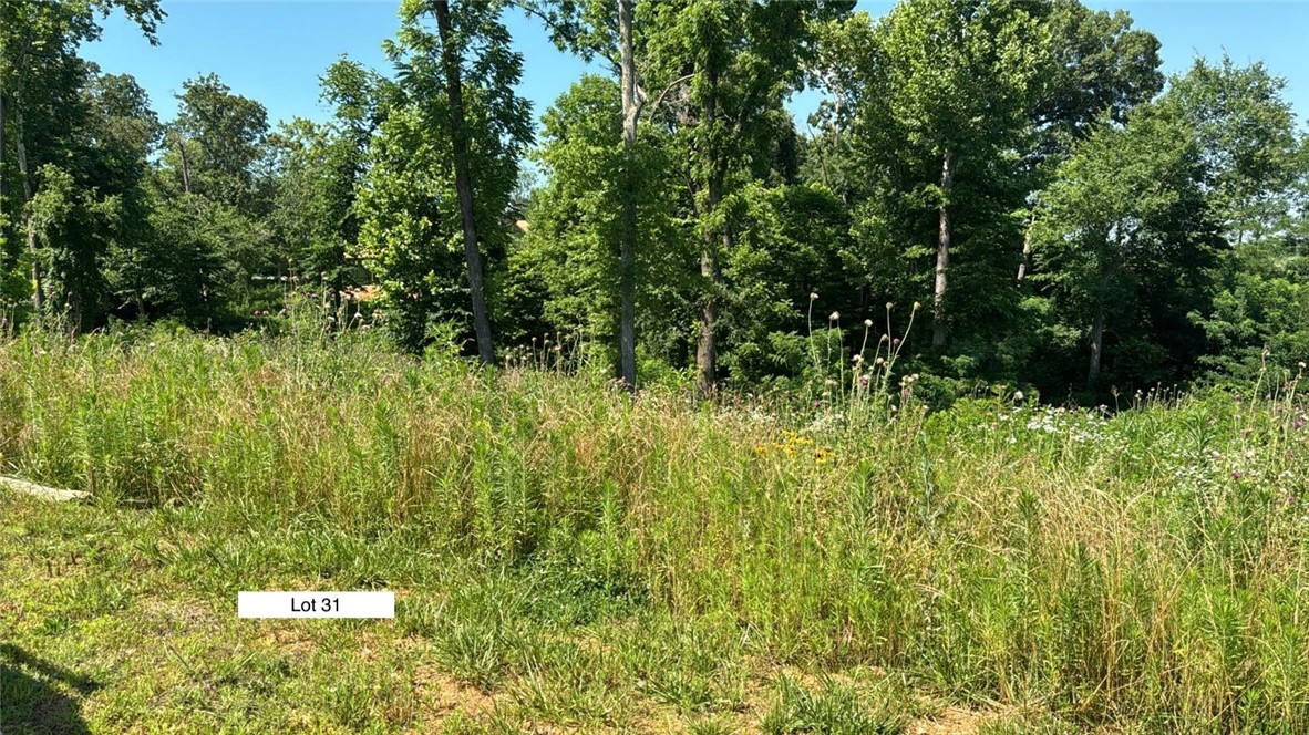 Healing Springs Phase 2 - Land