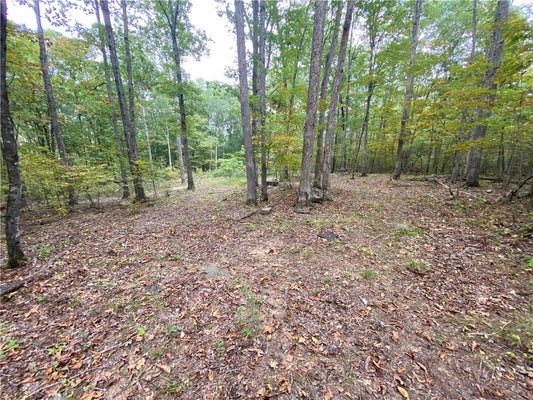 ADDRESS PRIVATE, JASPER, AR 72641 - Image 0663afc2d18a0ab2fbb9c8a6be32075d/2046653236