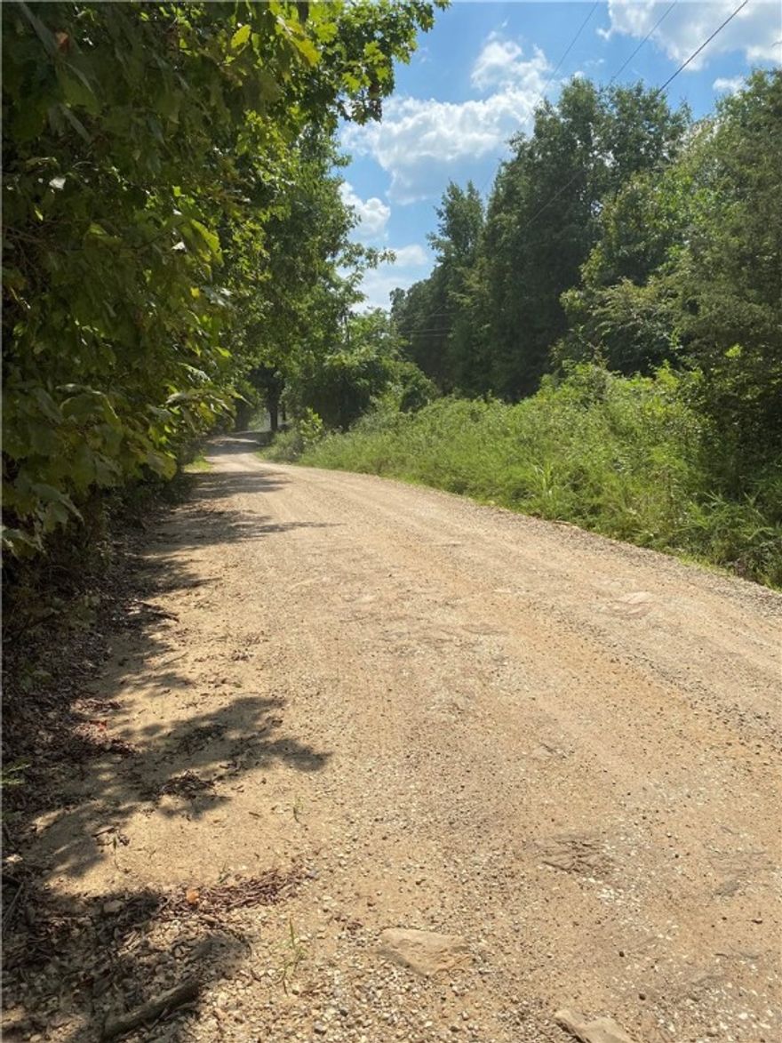 10.5 acres  needs to be cleared  has 6 year old Brush  has a mild  Slope up the side of hill with a view looking over the valley