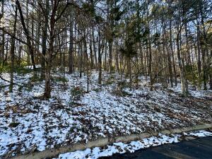 Craigwood Acres - Land