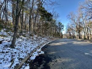 Come build your dream home in this beautiful neighborhood in Russellville, Arkansas! This property is located in the coveted west side of town with lots of amenities within a short distance! Water and electric are at the street! Copy of the survey is available! Give me a call for more details!