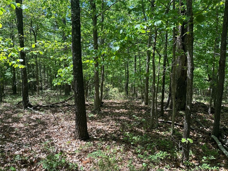 Introducing a blank canvas awaiting your vision: 7.23+/- acres nestled along Lakeside Drive in Rogers, AR. This untouched parcel of land offers an idyllic blend of natural beauty and convenience. Just 0.9 miles away lies a public boat launch site, granting easy access to the entertainment of Beaver Lake.
Surrounded by trees, this wooded property offers the chance to create your own haven, embraced by nature's beauty. With water and electricity available at the street, the possibilities are endless for creating your dream home.
Nature enthusiasts will love the abundant wildlife found on and around the property. Whether it's deer or other small game, there's no shortage of opportunities for hunting or simply enjoying the spectacle of nature.
Seize the chance to bring your vision to life on this beautiful property, where tranquility meets potential. Embrace the opportunity to build your dream house and create lasting memories in this picturesque setting. Welcome home to Lakeside Drive.