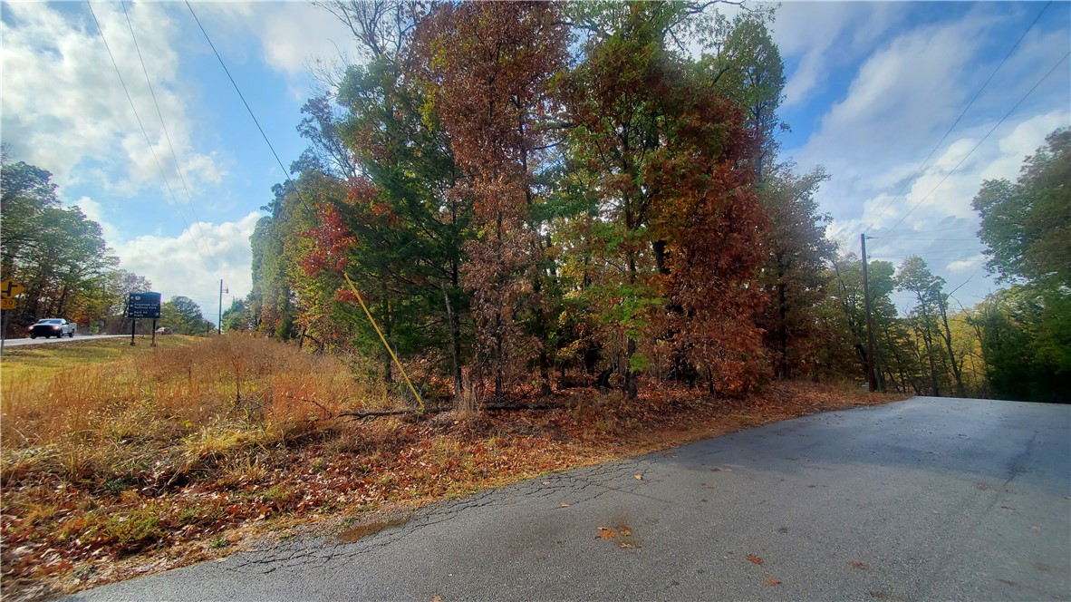 Your chance to build the perfect home in Bella Vista, Northwest Arkansas! Lot 1 E Lancashire Blvd. is a spacious, move-in ready lot in a welcoming community, close to shopping, schools, and parks. This lot is ideal for a custom home, with plenty of space for a yard, garden, or outdoor living. Enjoy the Bella Vista lifestyle from lake fun and golf courses to scenic trails and outdoor adventures. Whether you’re looking for a full-time home, a vacation getaway, or an investment in Northwest Arkansas real estate, this lot offers peace, convenience, and potential all in one location. Don’t miss out on this opportunity to live in one of the region’s most sought-after neighborhoods!