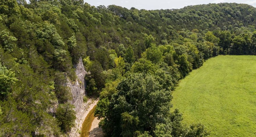 203 acres located in St Joe AR with a 5 million gallon a day Spring . Property has Abundant water with over 1 mile of Tomahawk creek and the Spring Branch. Located near Buffalo River activities being only 
2 Miles M/L from Gilbert, AR and Buffalo River access.  
Property has easy access to the Spring, Creek and Plenty of wildlife. Approx. 60 acres in Pasture/Hayfields.