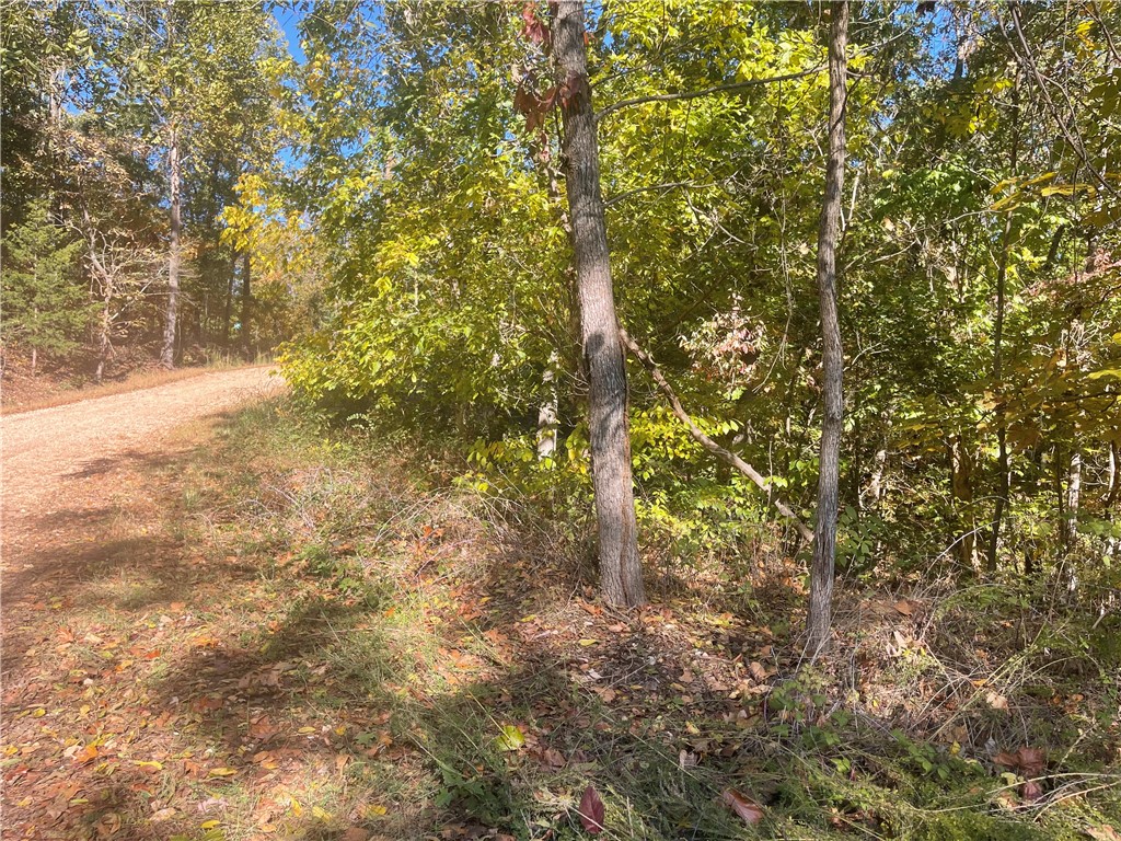 Northampton Sub Bvv - Land