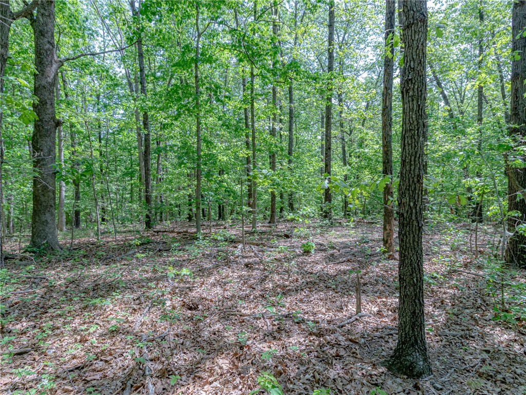 FLAT Lot in beautiful Bethnal Subdivison in Bella Vista with .36 Acres to build on. City will clean up road once construction begins on Claxton. Come see your next building location! Subdivision backs up to "Back 40" trail system in Bella Vista with bikers entrance one minute away!
