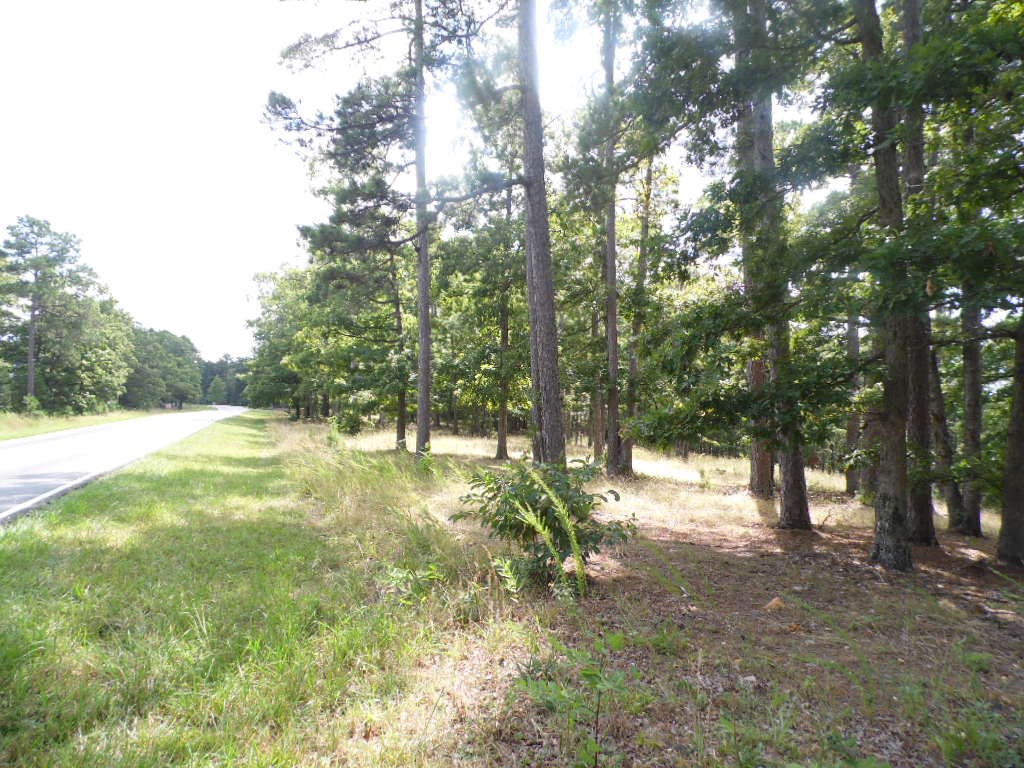 Terrific lot with frontage on Passion Play Road. ESPD and medical clinic nearby and in area of various churches and businesses. On trolley route, too. For utilities and for connections to same, please verify with utility companies.