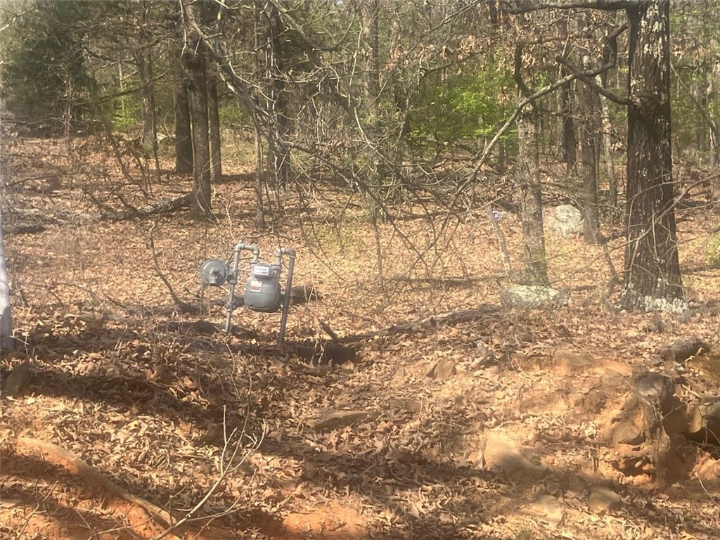 Whittle N Of RR W - Land