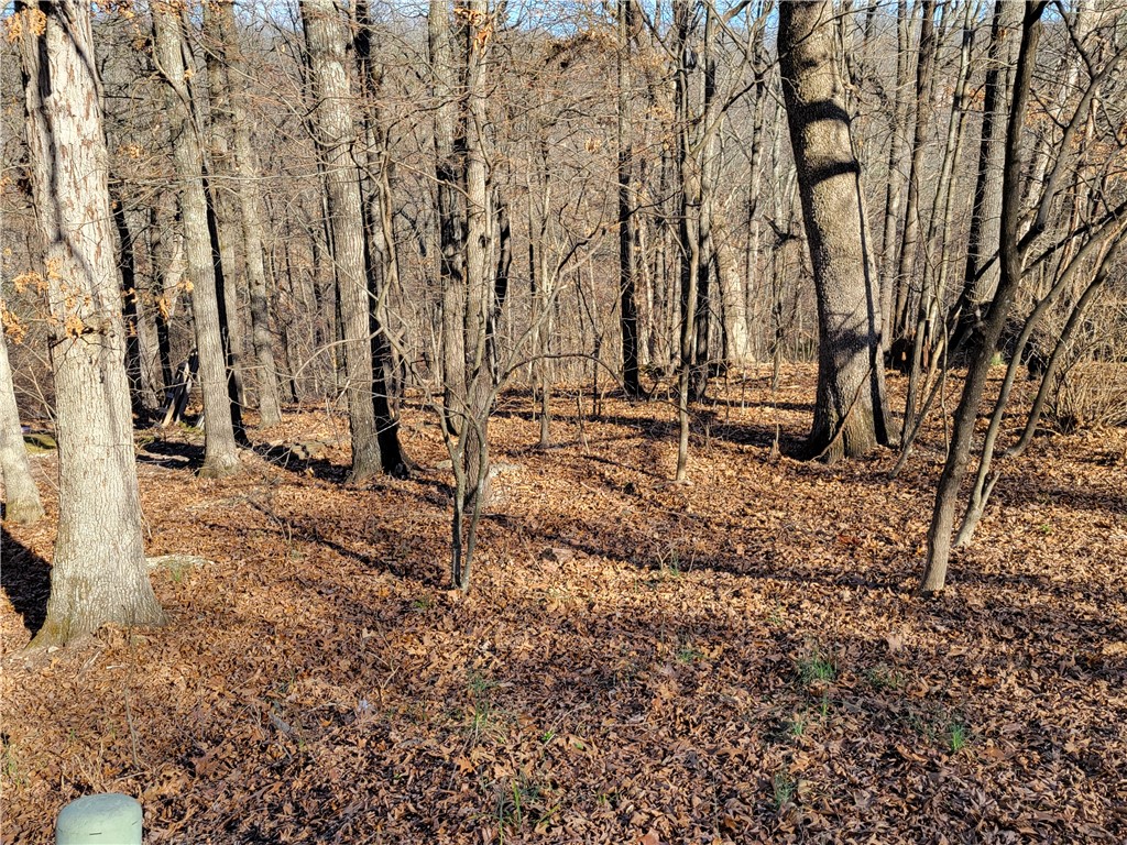 Worcester Sub Bvv - Land