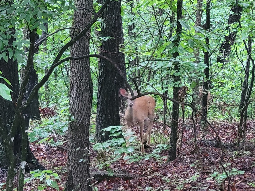 Worcester Sub Bvv - Land