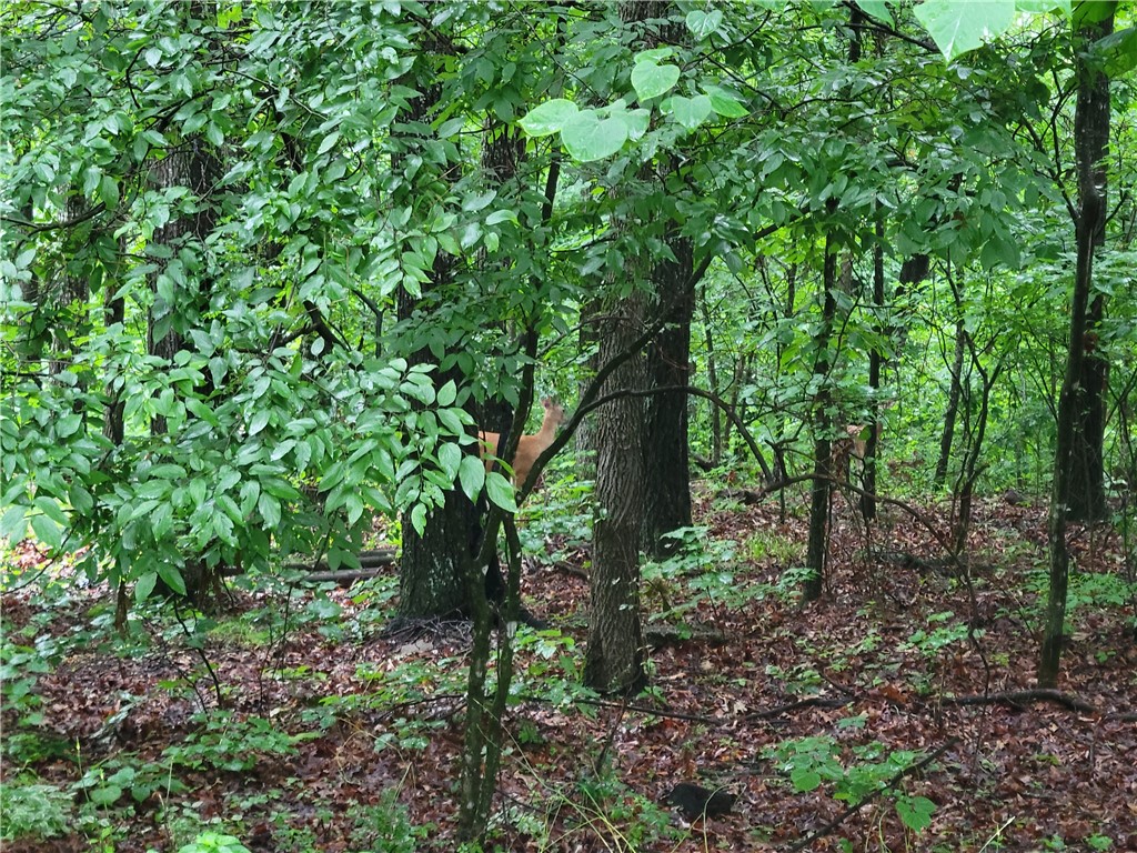 Worcester Sub Bvv - Land