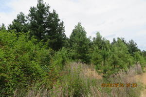 Buy one or All lots, approx 2 Acres +/- each. Each at $8,500 or all 5 for $30,000. See documents for plat and restrictions. Bank owned. Al