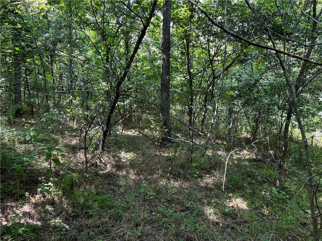 Fantastic location with Pinyon Creek mountain bike trail in your own backyard! Just steps from trail access on Granshire Dr.