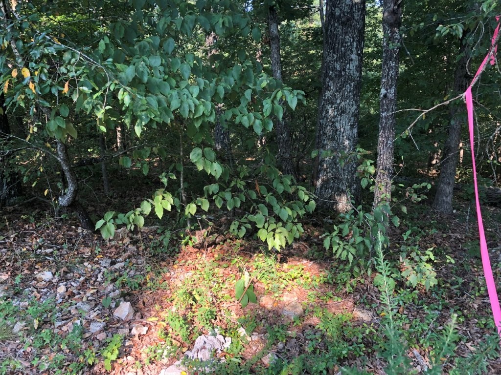 Area of new homes, remote but has great access.