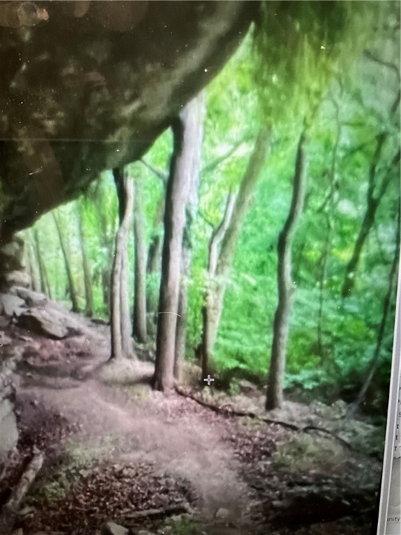 Ashdown Sub Bvv - Land