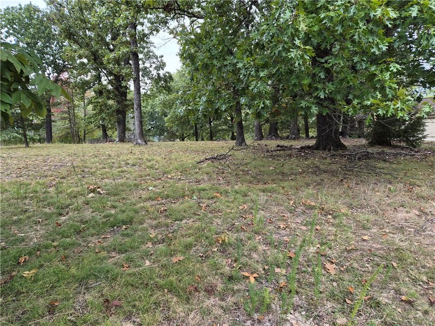 Here's a rare chance to own a flat buildable 1 acre lot AND A BOAT SLIP! This 1 acre parcel in Mountain Lake Estates has tons of potential, it has already had a perc test done and has water electric and gas at the street. This parcel comes with a slip on the right dock, dock #2, slip number 15 with electricity, a locker and a sink. The slip is 10 foot wide and 25 foot deep situated on the end of the dock. If you don't feel like taking it out, let the kids swim off the dock while you sit in the boat and relax with no obstructed views of the lake.  Don't miss your opportunity to build your dream home and get a sought after boat slip on Beaver Lake just minutes from Prairie Creek Marina. Dock fees are $600 annually. Access the boat dock off Vail Dr.