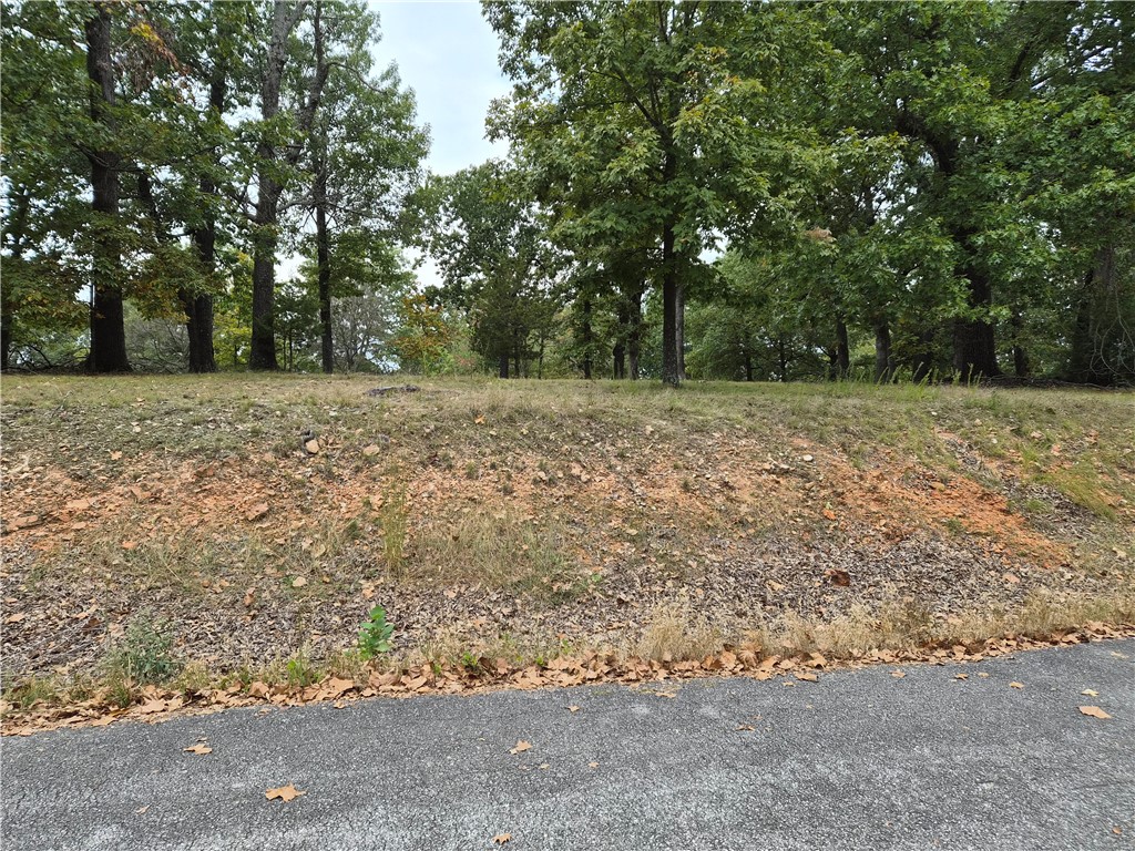 Mountain Lake Estates Ph 2 Rurban - Land