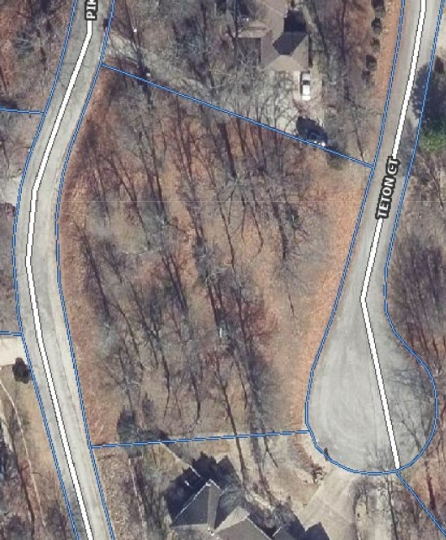 Here's a rare chance to own a flat buildable 1 acre lot AND A BOAT SLIP! This 1 acre parcel in Mountain Lake Estates has tons of potential, it has already had a perc test done and has water electric and gas at the street. This parcel comes with a slip on the right dock, slip number 15 with electricity, a locker and a sink. The slip is 10 foot wide and 25 foot deep situated on the end of the dock. If you don't feel like taking it out, let the kids swim off the dock while you sit in the boat and relax with no obstructed views of the lake.  Don't miss your opportunity to build your dream home and get a sought after boat slip on Beaver Lake just minutes from Prairie Creek Marina. Dock fees are $600 annually. Access the boat dock off Vail Dr.