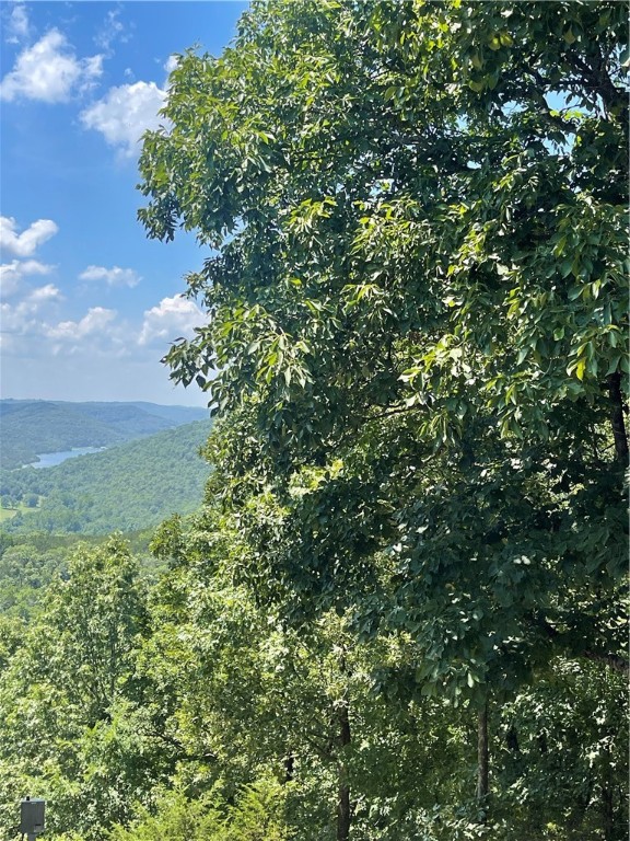 Hillside lot in Holiday Island with view of Lake Leatherwood and the gorgeous ozark vista. Just a half mile to the country club and close to shopping center. What a great time to build your future home!
