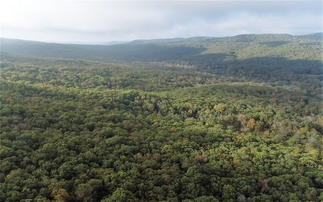 40 ACRES. Escape to your piece of Ozark Mountain Heaven. Unrestricted and CR road frontage with power and water at Low Gap Rd. Seasonal views are exceptional and hunting is very good. Abundant wildlife on property. Deer, small game, turkey, and bear. The benches are wide and flat with pretty draws and hollows. Rock formations, ledges, mature timber, and wide-open forest floor create a desirable landscape with multiple building sites for your dream cabin or home. Just minutes away from several towns including Elkins, Combs, West Fork, and Fayetteville. Enjoy the peace and tranquility of the mountains in a great convenient location. Call today for more information and schedule a tour. This property will not last long.