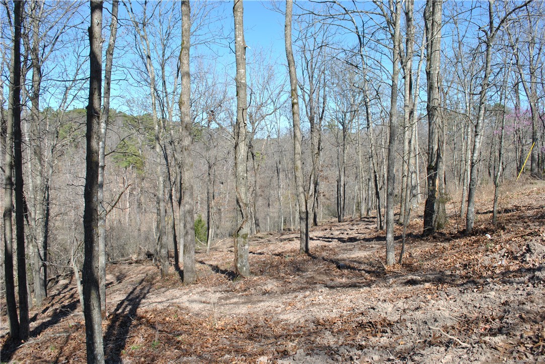 Tanglewood Resort 2 Rurban - Land