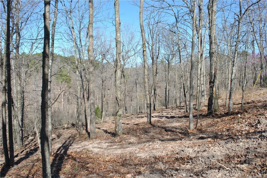 Newly surveyed April 2024, this .93 wooded acres in the Rocky Branch Resort area just needs your cabin or lake area home ! About a mile and a half from public boat launch at Rocky Branch State Park and Marina. Nearby Hobbs State Park hiking and biking trails, War Eagle Mill and Caverns. Electricity runs along East Robin Road. House directly across the road has municipal water per seller. Taxes shown are for entire 4.22 acre parcel. Additional lots available