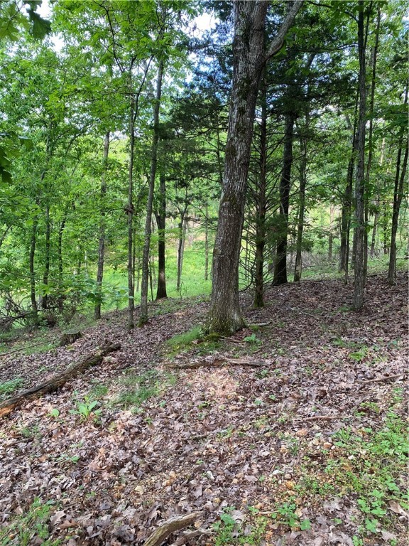 Tanglewood Resort 2 Rurban - Land