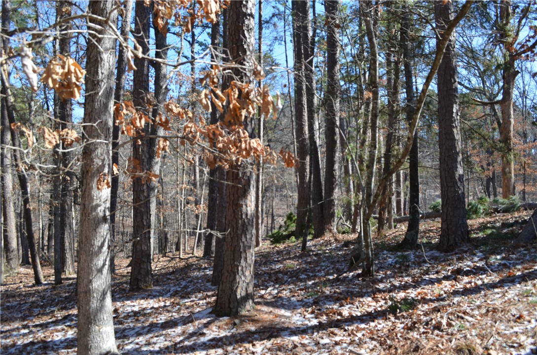 This vacant lot provides for opportunities to enjoy many outdoor recreational activities. Located on Horatio Lane in Bella Vista, this parcel is only one-half mile from the Buckingham Drive Trailhead, which is part of the renowned 40-mile loop of mountain biking trails called the "Back 40." There are also 7 lakes, and 6 golf courses nearby to enjoy. A peaceful cul-de-sac to build your dreams on! Commuting is a breeze as this location is less than ten minutes from Interstate I-49. Near Lake Ann, Lake Rayburn and Little Sugar Creek.