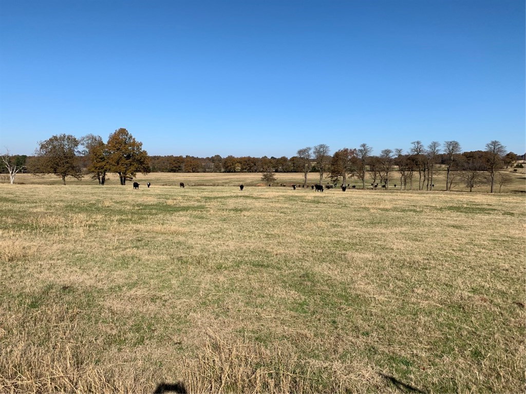 03-17-28 - Residential