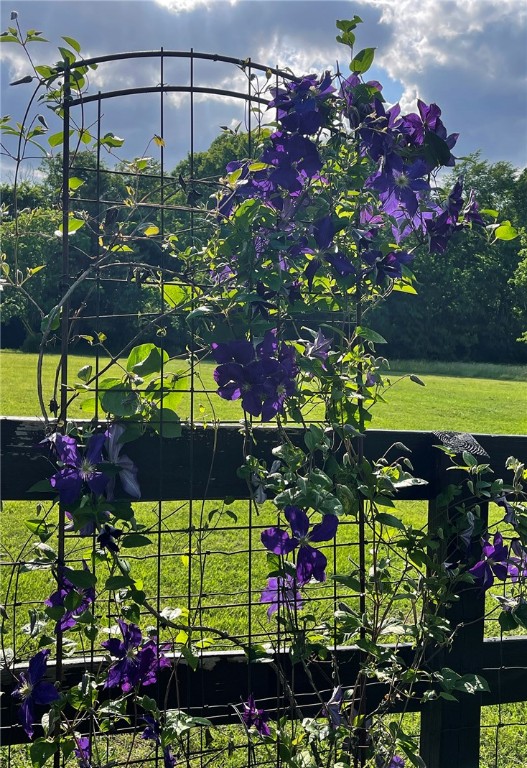 Goshen Outlots - Residential