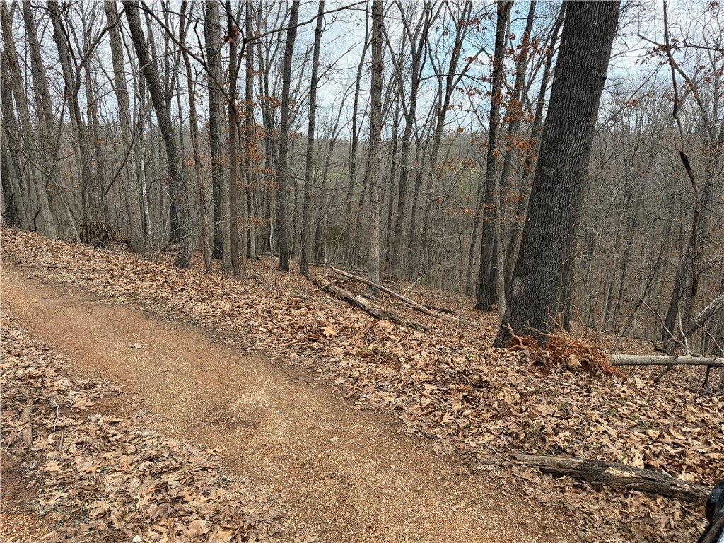 Bethnal Sub Bvv - Land