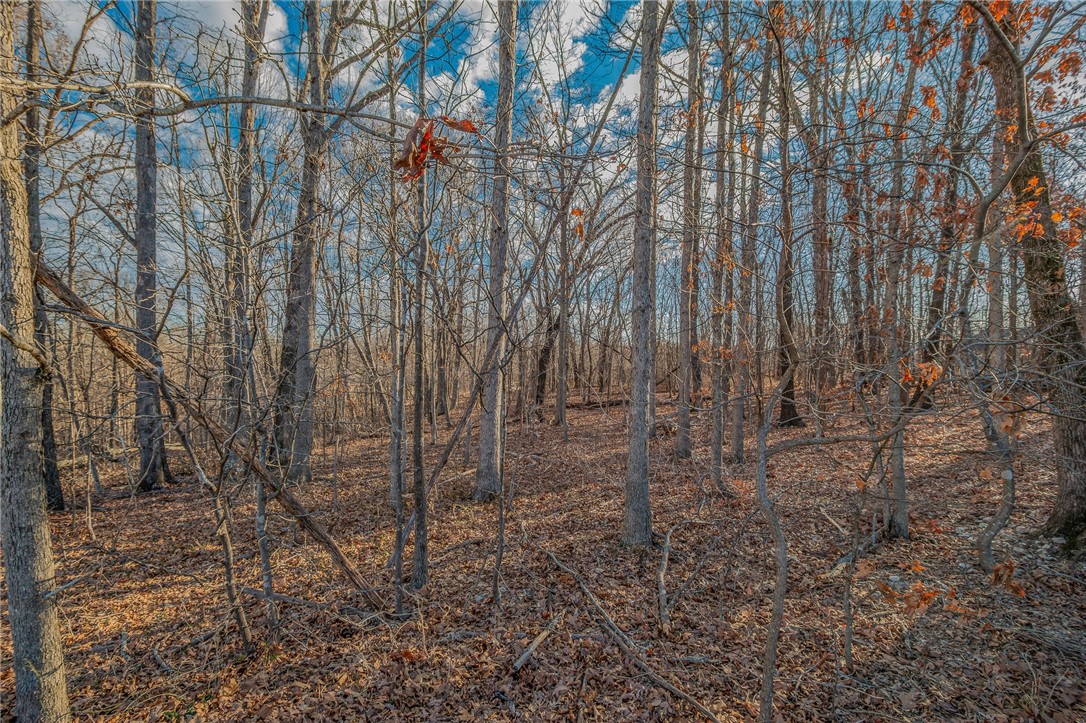 Carmarthen Sub Bvv - Land