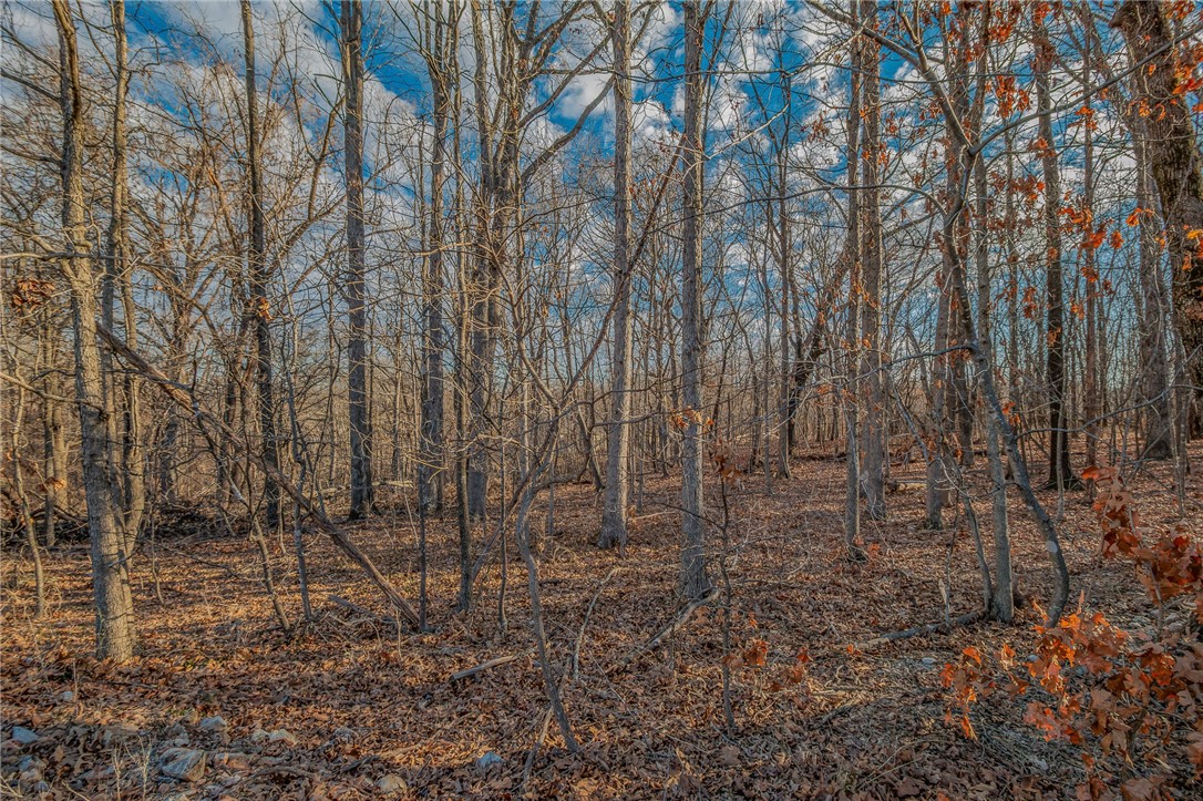 Carmarthen Sub Bvv - Land