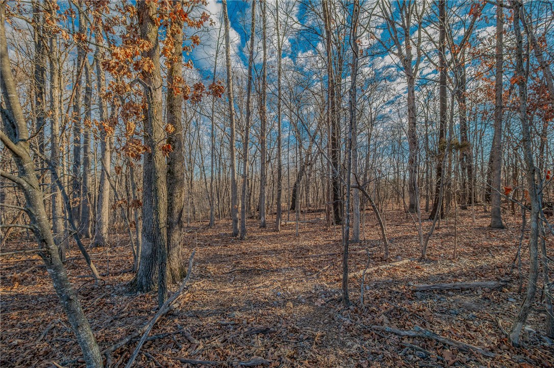 Carmarthen Sub Bvv - Land