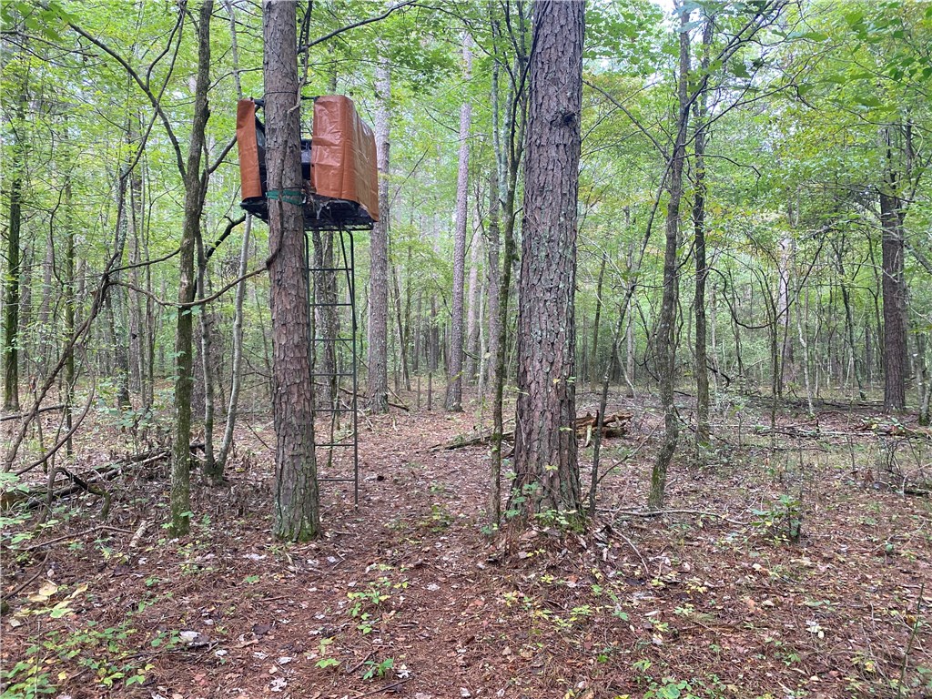 Peaceful, secluded, and a short distance to the Ozark National Forest in NW Arkansas. This 160 acre parcel in Van Buran County is only 1/2 mile south of Hwy 16 on Brock Road with mature pines and oaks, year round water and a trail system to easily access the property. The ornamental bluffs and developed canopy provide a serene and harmonious setting with nature and a comfortable environment for squirrel, whitetail, and bear hunts. Level topography leaves endless possibilities for food plots and blind locations and a thick layer of forest undergrowth has provided years of compost fertility. This property is also currently owned by a non-profit foundation so there may be tax advantages with purchasing (contact your CPA for details).