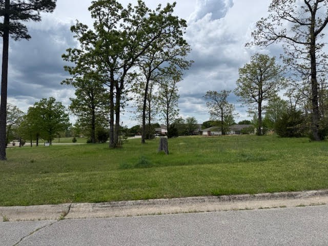 Welcome to your future homesite—this exceptional lot offers the perfect blend of peace, beauty, and possibility. Nestled in a scenic and serene setting, the property is completely level, making it ideal for building your dream home with minimal prep. Surrounded by natural beauty and located in a desirable area, this lot offers both tranquility and convenience. Whether you’re envisioning a cozy getaway or a full-time residence, this is a rare opportunity to create something special in a truly picturesque location.