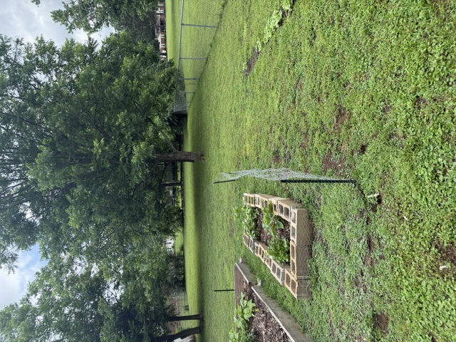George Add Danville - Residential