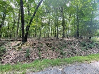 Beautiful lot, located near Lake Windsor with Tweety Bird & Landline Trails right next door! Build your dream home on this .25-acre lot. Road is paved and power at the street. This lot allows access to all 8 golf courses, 7 lakes, swimming pools, 100s of miles of world class bike trails, a shooting range, and more. Immerse yourself in the natural beauty of the Ozarks, enjoy recreational resort style living, and get away from the hustle & bustle!