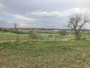 Nice view from this 6.17 acres +/- with paved road, rural (public) water, electric, phone, and septic. NO restrictions. The land is mostly level pasture and in Valley Springs schools.