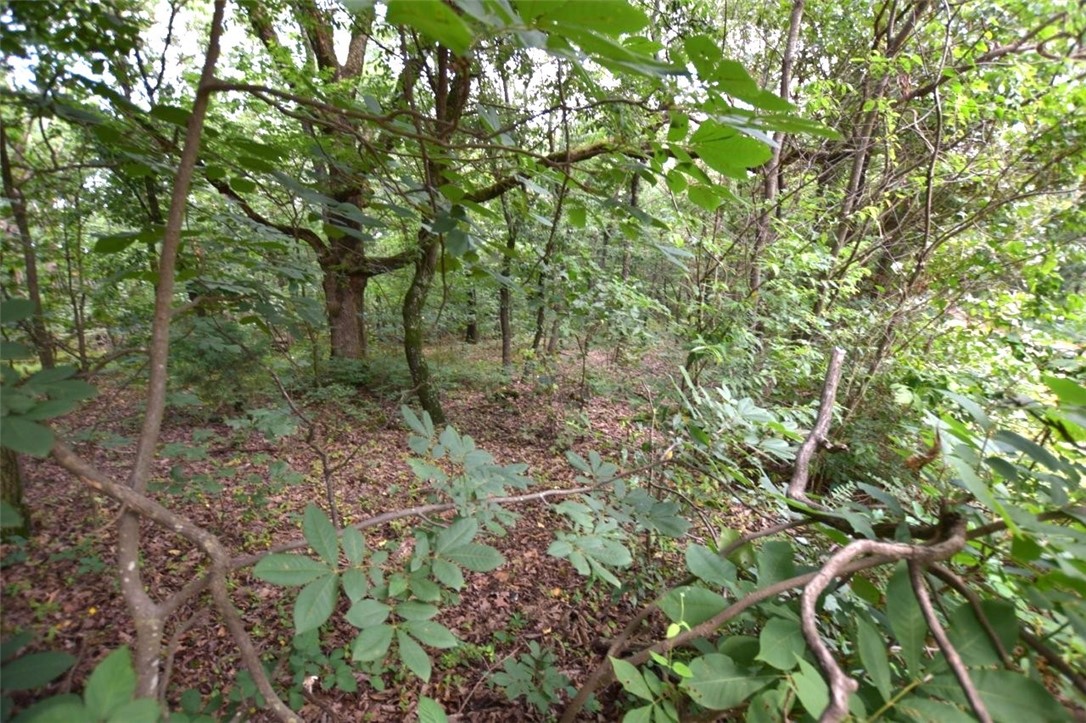 Prime 26.94 Acres Near Bentonville – Exceptional Location with Development Potential. Located just minutes from Bentonville and less than 10 miles from XNA Airport, this 26.94-acre parcel offers an outstanding opportunity for investment or development. With county road frontage on two sides and utilities available, the property is ideally suited for residential development, estate building, or future commercial potential. The land provides a blank canvas of wooded area, with easy access and excellent visibility. Situated in one of the fastest-growing regions in Northwest Arkansas, this property is poised to benefit from continued growth and demand in the area.