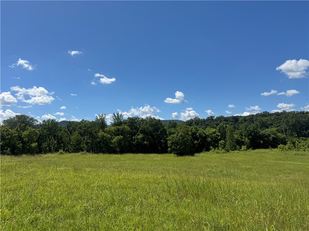 Discover this rare 5.02-acre gem nestled along the scenic banks of the Little Buffalo River, just minutes from the charming tourist town of Jasper, Arkansas. This unique property offers direct river access, a private well, and septic system already in placeāmaking it ready for your dream home or vacation retreat. With multiple prime building sites overlooking the river, you can take full advantage of the peaceful views and sounds of the flowing water. Paddle straight from your land down the Little Buffalo River to its convergence with the Buffalo National River for an unforgettable float trip. Located close to hiking trails, horseback riding, and all the outdoor adventures the Ozarks have to offer, this property is perfect for nature lovers, outdoor enthusiasts, or anyone seeking a tranquil getaway in the heart of Newton County. Properties like this are hard to findādonāt miss this opportunity!