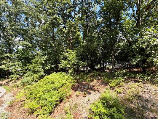 4 RUDSTON LN, BELLA VISTA, AR 72714 - Image 09b98484bc9db2e9ddd5babbbf431fd0/3339651497
