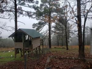 5 acres with an amazing view overlooking Danville. There was a home on the property, but it recently burnt. There is a well and a storage building. Great place for a cabin or to build a new home.
