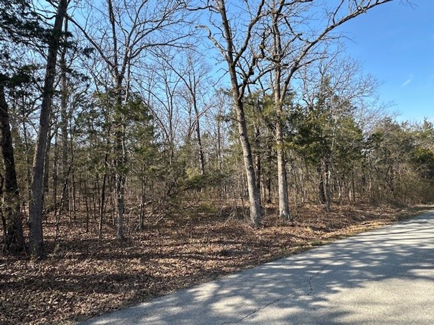 Prime Development Opportunity in Flippin! Exceptional opportunity to build your private residence or develop up to 12 new construction lots indesirable Flippin. This wooded, level tract offers an ideal setting for building with plenty of privacy and natural beauty. City water is available.City sewer is available and will require engineering to extend service to the lots. Whether you're a builder, investor, or ready to create your ownprivate retreat, this property offers outstanding potential.