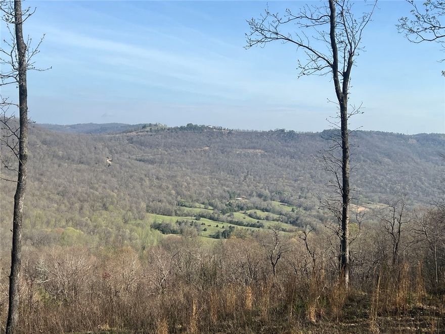 This 6.47-acre tract offers a rare combination of privacy, scenery, and convenience in the heart of the Ozarks. Tucked away on a quiet dead-end road, the property provides a peaceful setting with spectacular Ozark mountain views, while still being just a short drive from pavement and the amenities of Jasper.

The land is ideally suited for a home or retreat, with a gently rolling landscape that takes full advantage of the surrounding mountain views. Located near established hiking trails and the Buffalo National River, this property puts some of the area’s most sought-after outdoor recreation right at your fingertips.

Underground utilities are available, preserving the natural beauty of the setting and simplifying the building process. Whether you’re looking to build a full-time residence or a weekend getaway, this tract offers a strong balance of seclusion, accessibility, and scenic appeal.